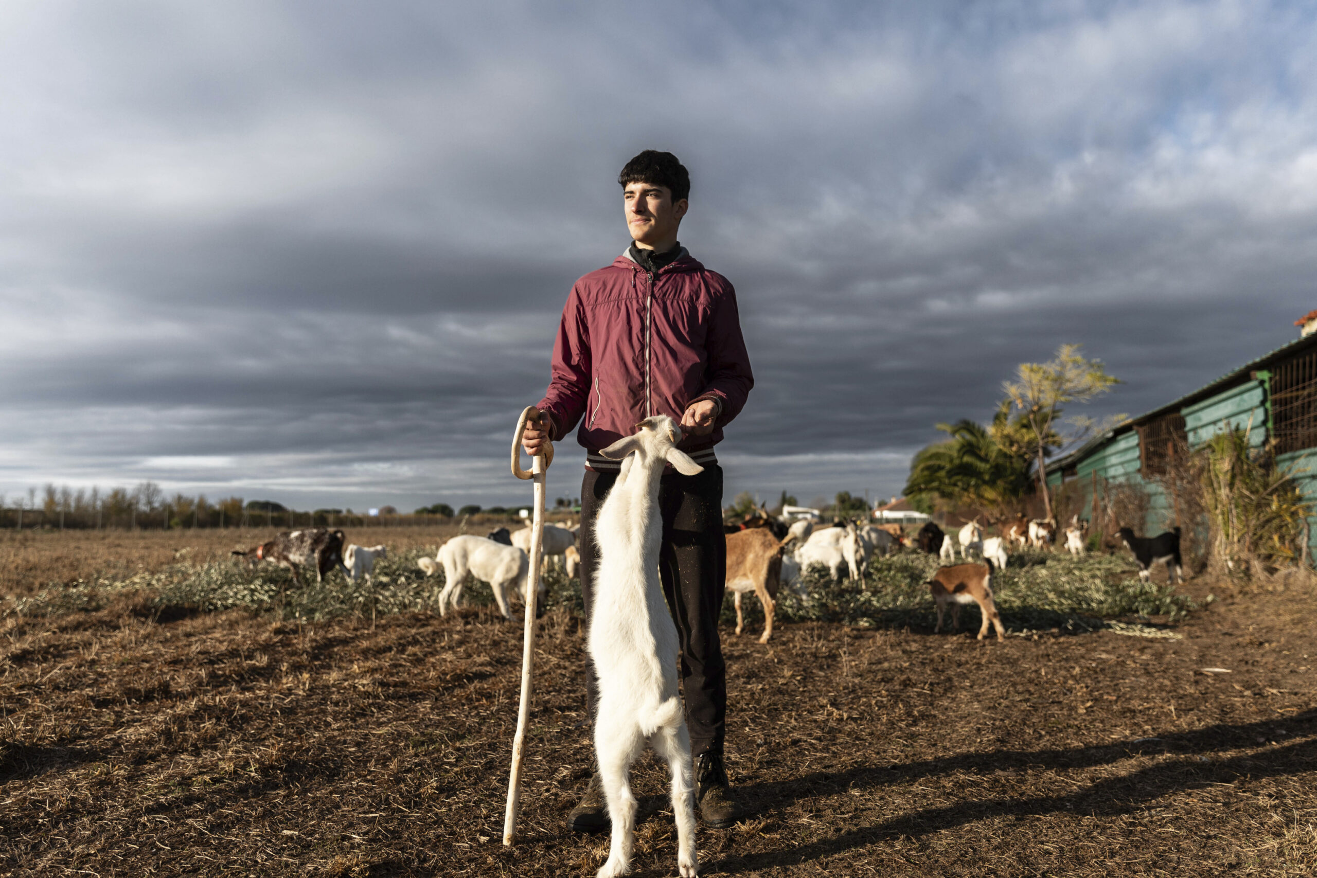 20 años, 200 cabras y el futuro del campo extremeño en sus manos: “Pelearé contra lo que haya que pelear”